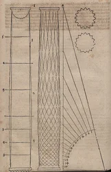 Bulging Column Shape and Column Cross-Sections